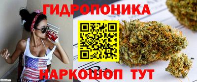 дмт Ливны